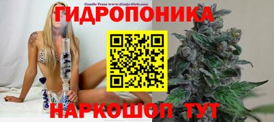 гидропоника Обнинск