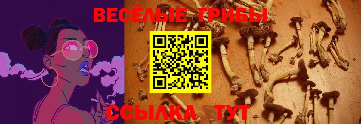 Галлюциногенные грибы прущие грибы Сланцы