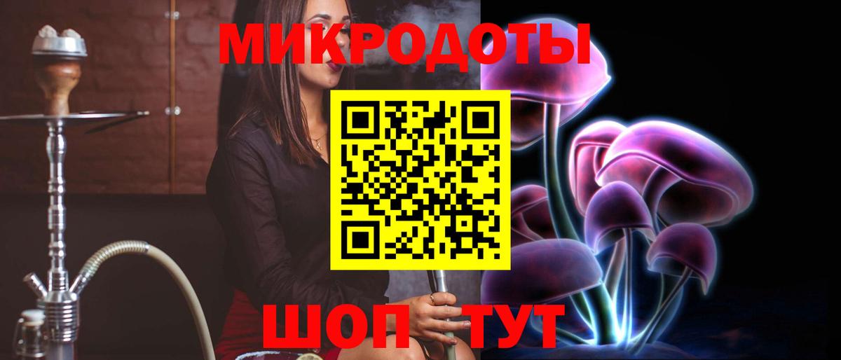 Псилоцибиновые грибы Psilocybe  Вход с VPN  Сланцы 
